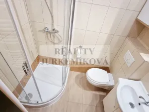 Prodej bytu 1+1, České Budějovice - České Budějovice 3, Riegrova, 45 m2