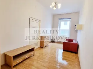 Prodej bytu 1+1, České Budějovice - České Budějovice 3, Riegrova, 45 m2