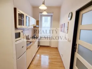 Prodej bytu 1+1, České Budějovice - České Budějovice 3, Riegrova, 45 m2