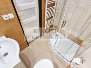 Prodej bytu 1+1, České Budějovice - České Budějovice 3, Riegrova, 45 m2