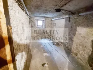 Prodej bytu 1+1, České Budějovice - České Budějovice 3, Riegrova, 45 m2