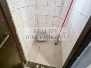 Prodej bytu 1+1, České Budějovice - České Budějovice 3, Riegrova, 45 m2