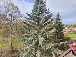 Prodej bytu 4+1, Varnsdorf, Západní, 92 m2