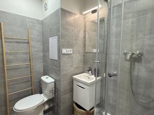 Pronájem bytu 1+kk, Rožnov pod Radhoštěm, Valašská, 28 m2