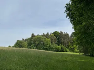 Prodej louky, Český Dub, 58420 m2