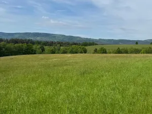 Prodej louky, Český Dub, 58420 m2