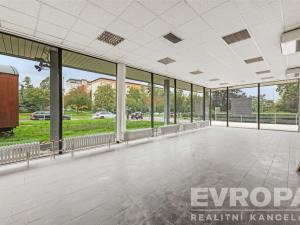 Pronájem obchodního prostoru, Praha - Strašnice, V olšinách, 95 m2