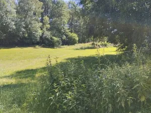 Prodej louky, Babice, 45608 m2