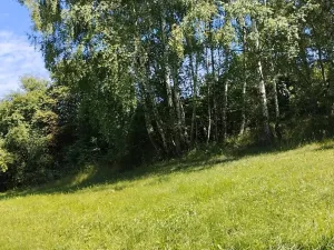 Prodej louky, Babice, 45608 m2