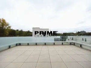 Pronájem rodinného domu, Praha - Řepy, U Lesoparku, 408 m2