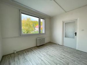 Pronájem bytu 4+1, Litvínov, Mládežnická, 84 m2