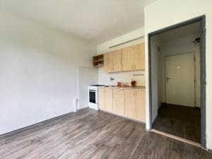 Pronájem bytu 1+1, Litvínov, Tylova, 38 m2