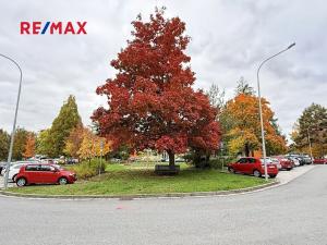 Pronájem bytu 2+1, Šumperk, Evaldova, 56 m2