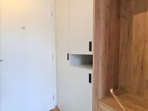 Prodej bytu 1+kk, Praha - Vinohrady, Perucká, 28 m2