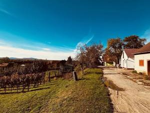 Prodej vinného sklepa, Velké Bílovice, 100 m2