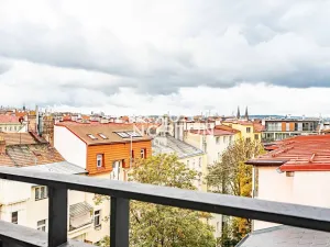 Pronájem bytu 5+1, Praha - Vinohrady, Mánesova, 220 m2