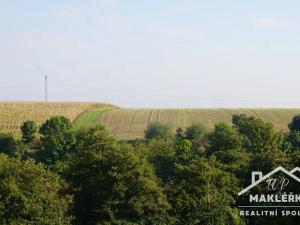 Prodej zahrady, Pašinka, 379 m2