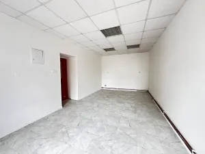 Pronájem obchodního prostoru, Nový Jičín, Dolní brána, 22 m2