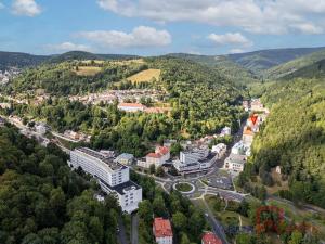 Prodej bytu 1+kk, Jáchymov, K Lanovce, 31 m2