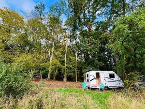 Prodej lesa, Postupice, 1363 m2