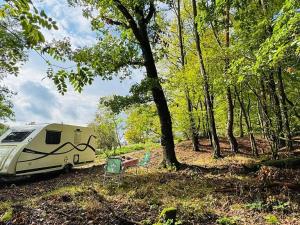 Prodej lesa, Postupice, 893 m2