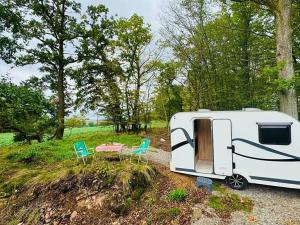 Prodej lesa, Postupice, 470 m2