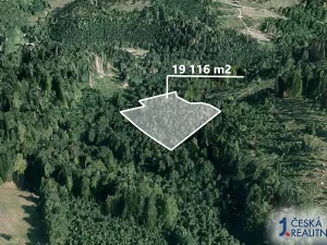 Prodej lesa, Spálov, 19116 m2