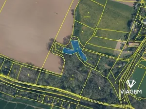 Prodej lesa, Katusice, 1936 m2