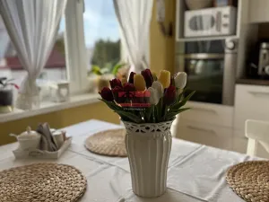 Prodej bytu 3+1, Tábor, Družstevní, 86 m2