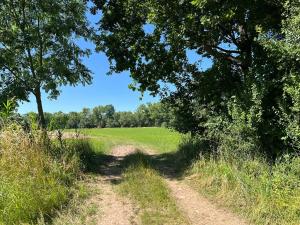 Prodej louky, Šestajovice, 3641 m2