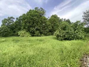 Dražba louky, Bohumilice, 5491 m2