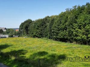 Prodej louky, Křižany, 2663 m2