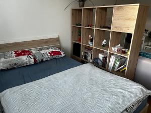 Pronájem bytu 1+1, Zlín, 35 m2