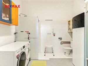 Prodej komerční nemovitosti, Pavlov, 245 m2