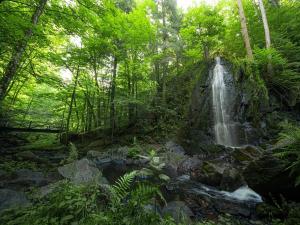 Prodej vícegeneračního domu, Nové Hrady, 880 m2