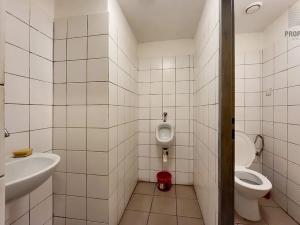 Pronájem obchodního prostoru, Brno, Cejl, 72 m2