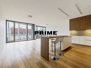 Pronájem bytu 4+kk, Praha - Smíchov, Holečkova, 174 m2
