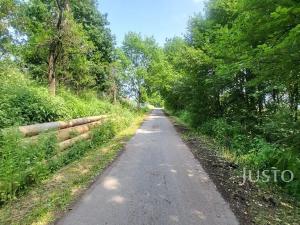 Prodej pozemku pro bydlení, Jetětice, 3152 m2