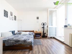 Pronájem bytu 1+1, Hodonín, Národní třída, 33 m2