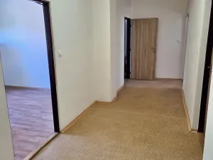 Prodej obchodního prostoru, Frýdek-Místek, Míru, 384 m2