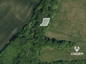 Prodej lesa, Zlámanec, 663 m2