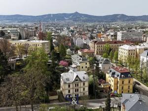 Pronájem bytu 1+kk, Liberec, Klostermannova, 20 m2