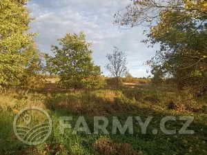 Prodej pole, Vráž, 17027 m2