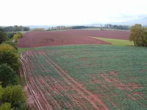 Dražba pole, Staré Buky, 71140 m2