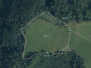 Dražba louky, Hanušovice, 53256 m2