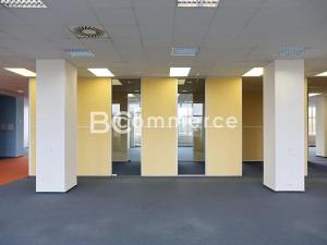 Pronájem kanceláře, Brno, Purkyňova, 700 m2