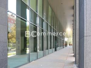 Pronájem kanceláře, Brno, 500 m2