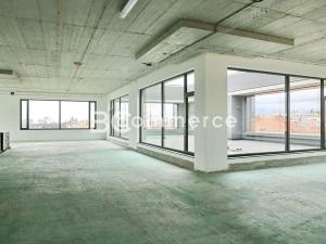 Pronájem kanceláře, Brno, 500 m2