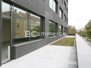 Pronájem kanceláře, Brno, 100 m2