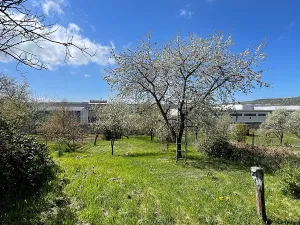 Prodej rodinného domu, Uherský Brod, Brodská, 130 m2